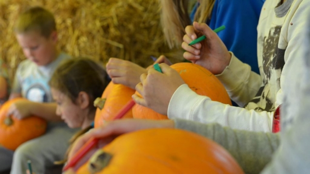 Bay Trust Health & Wellbeing