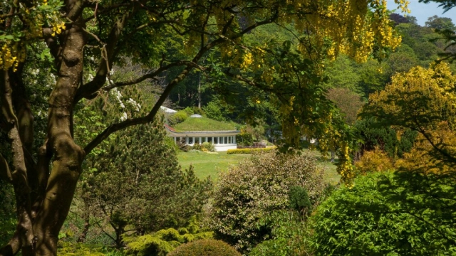 Bay Trust Pines Calyx