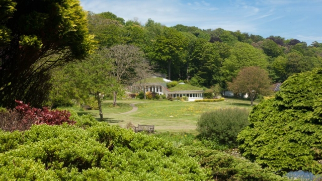 Bay Trust Pines Calyx