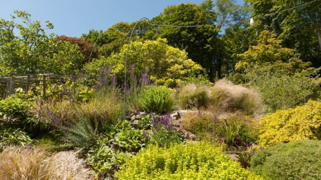 Bay Trust Pines Calyx