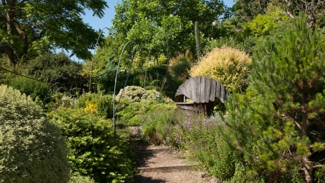 Bay Trust Pines Calyx